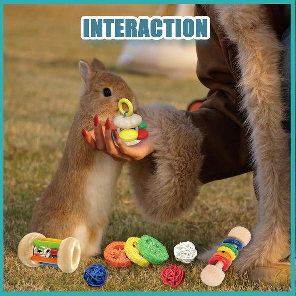 QWR 9PCS Wooden Bunny Toys,Safe Rabbit & Guinea Pigs Teeth Grinding Toy for Chinchillas, Hamsters & Small Animals - Indoor & Outdoor8