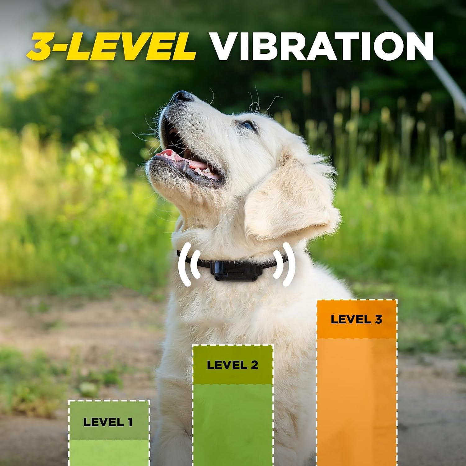 dogtra-iq-vibe-vibration-only-no-bark-collar-4x-stronger-hpp-vibration-ipx9k-waterproof-precision-sensor-rechargeable