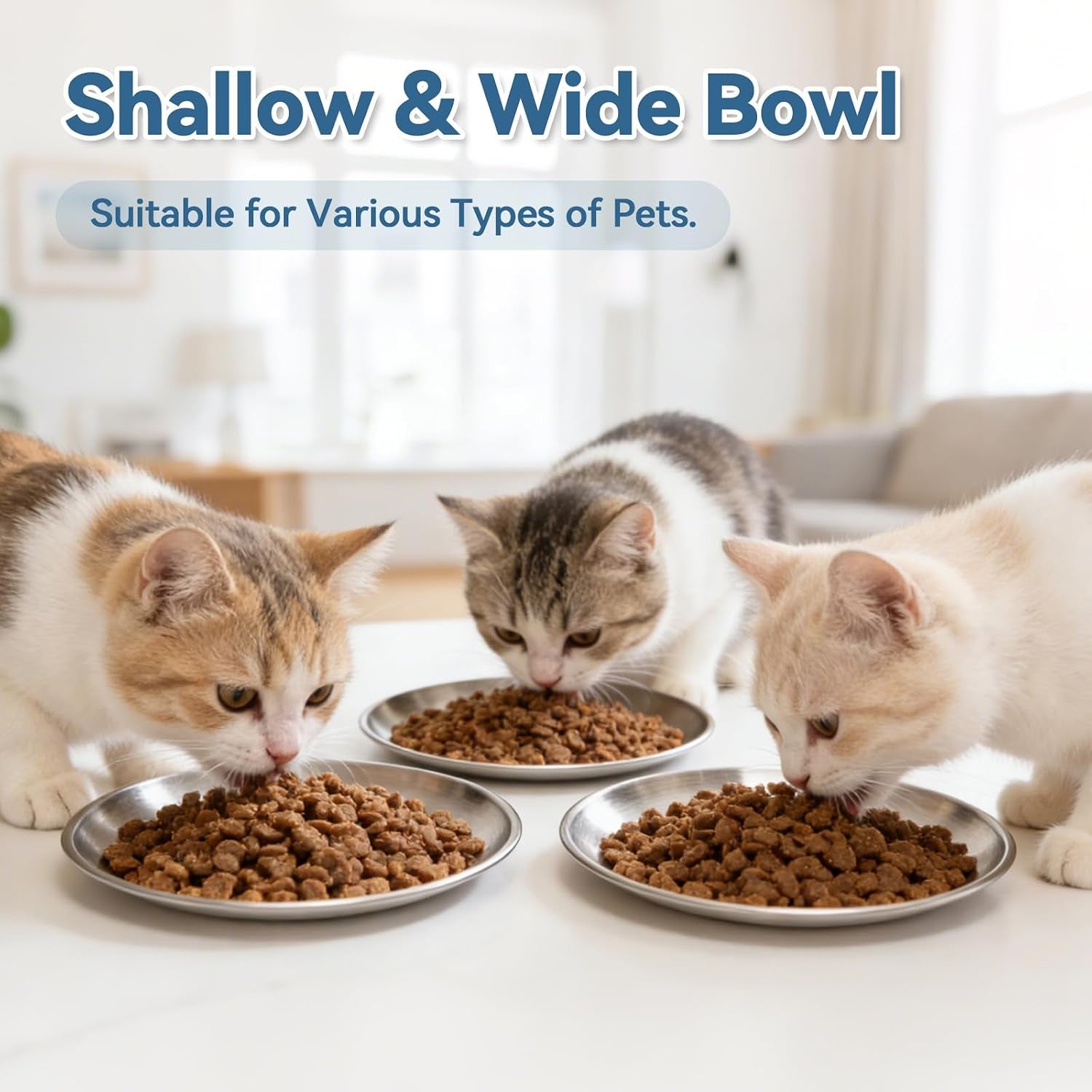 8-pack-stainless-steel-cat-food-bowls-cat-dishes-shallow-whisker-friendly-metal-dishes-with-non-slip-silicone-bottom-easy-to-clean-indoor-feeding-bowls-for-cats-kittens-small-dogs-6-7