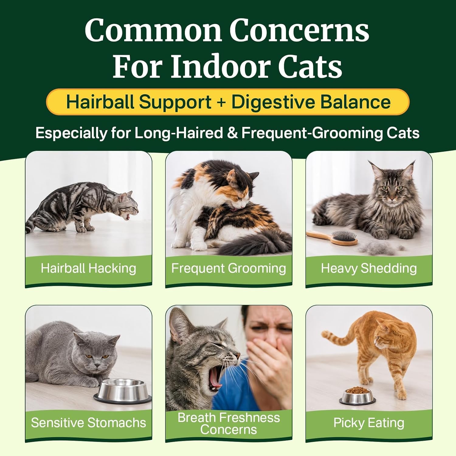 cat-grass-treats-chews-cat-treats-for-indoor-cats-500-hairball-treatment-for-cats-hairball-control-feline-grass-chews-with-fish-oil-taurine-b-vitamins-for-skin-coat-digestion-dental-care