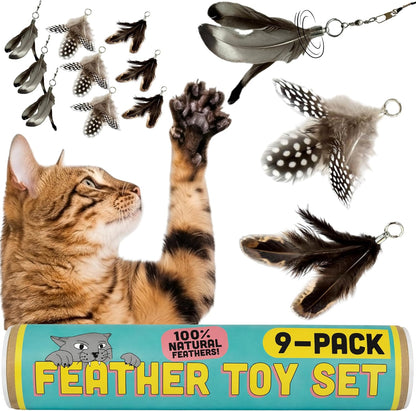 Cat Feather Toy Refill 3-Pack - Natural Feather Cat Toy - Small Size Cat Wand Attachments - Official Cat Toy Feather Replacement for Forever Stick Cat Wand Toy - Cat Wand Refill - Cat Lure and Teaser10