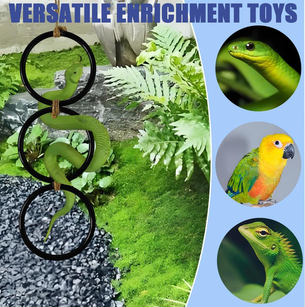 Snake Enrichment Toys Ball,Jungle Gym Ball and Enrichment Rings for Small Ball Python Corn Snakes,Reptiles Climbing Toy,Snake Exploring&Climbing Accessories6