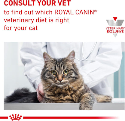 ROYAL CANIN Veterinary Diet Feline Gastrointestinal Treats Adult Dry Cat Food, 7.7 Oz. Bag7