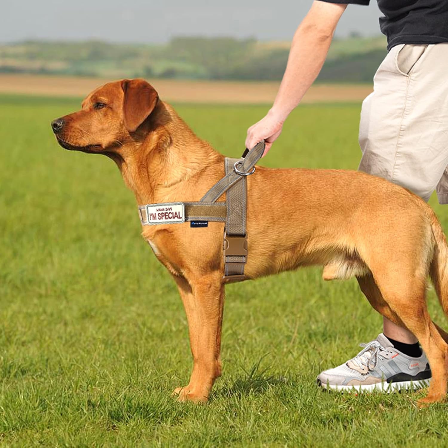 annchwool-no-pull-dog-harness-with-soft-padded-handle-reflective-strip-escape-proof-and-quick-fit-to-adjust-dog-harness-easy-for-training-walking-for-small-medium-and-large-dogsbrown-l