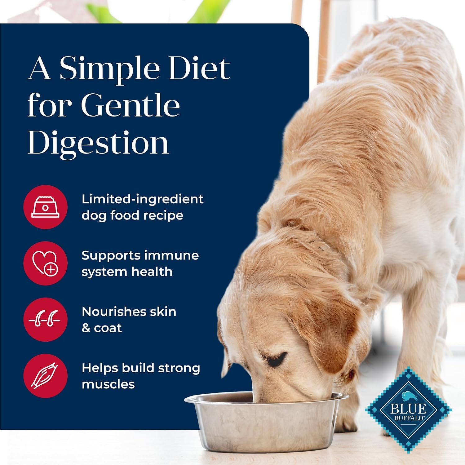 blue-buffalo-basics-adult-dry-dog-food-skin-stomach-care-limited-ingredient-diet-for-dogs-salmon-recipe-24-lb-bag