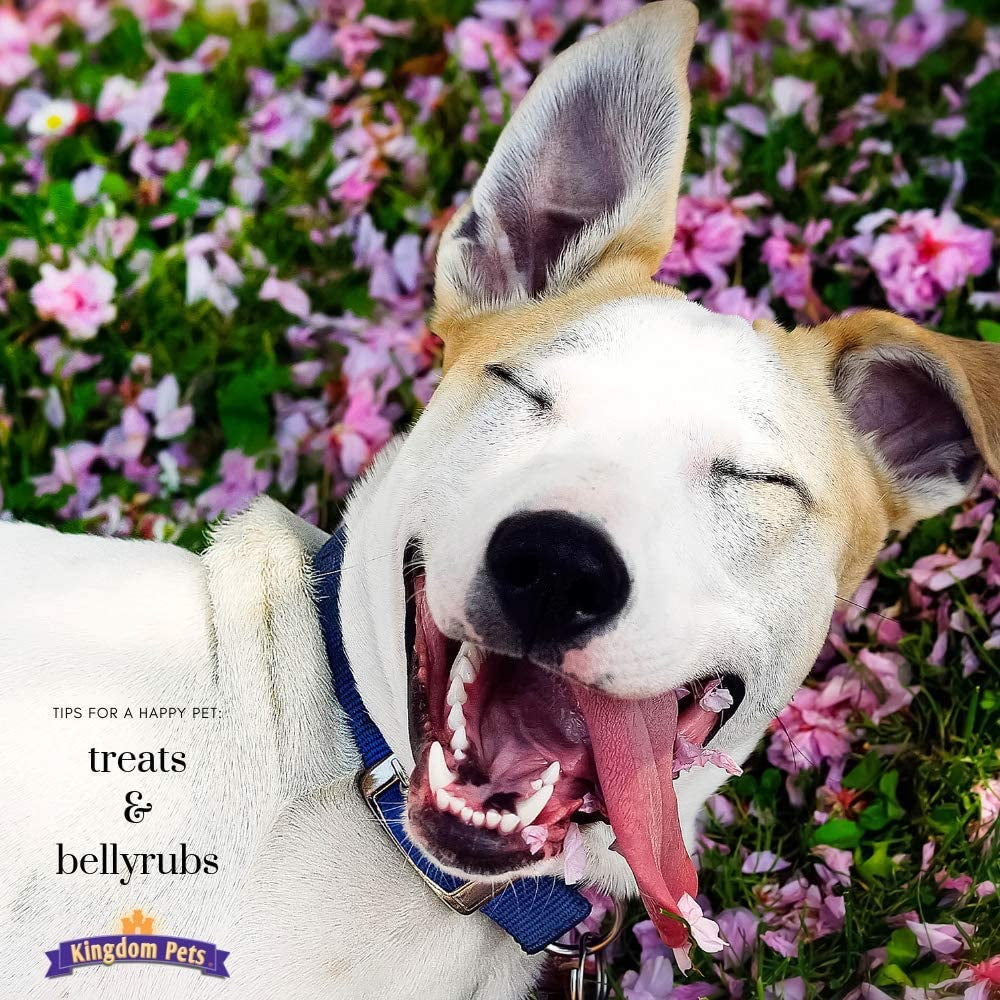 duck-jerky-sweet-potato-dog-treats-with-only-4-ingredients-and-no-fillers-3-pound-bag