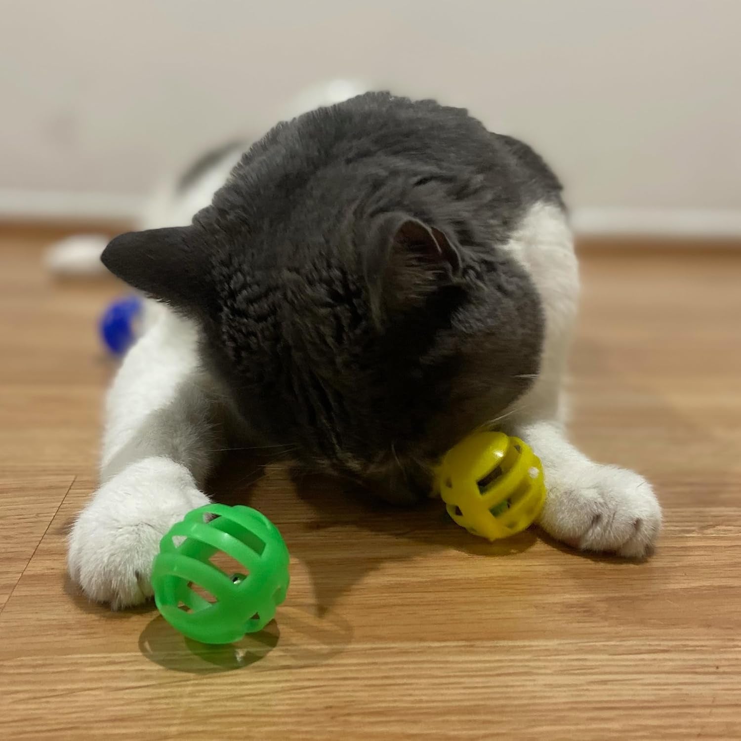 spot-slotted-balls-cat-toy-interactive-cat-toys-for-indoor-cats-to-chase-hunt-and-stimulate-jingle-bell-inside-for-sound-when-batted-around-safe-and-non-toxic-1-5-assorted-4-pack
