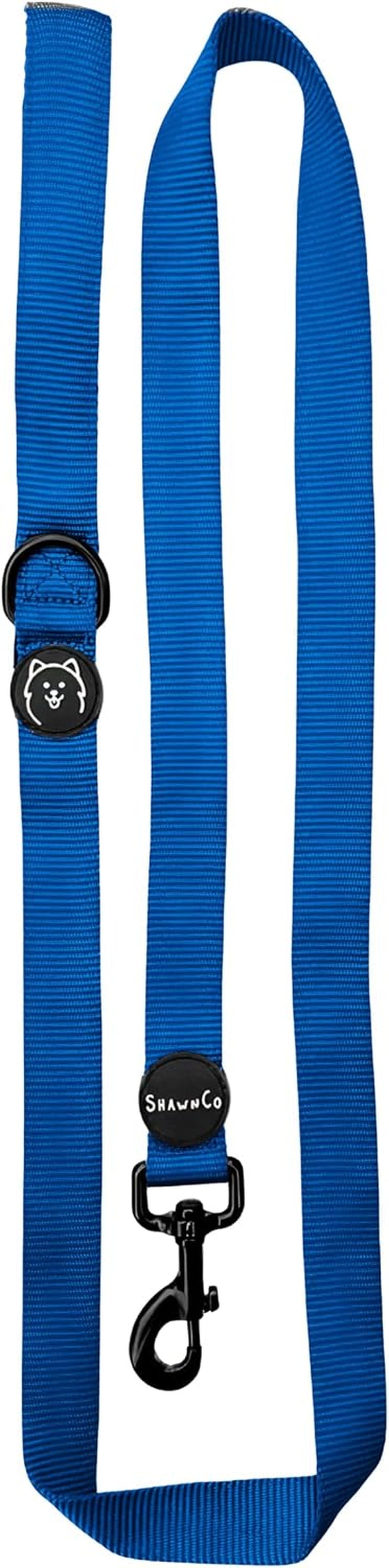 shawnco-dream-walk-dog-leash-premium-nylon-pet-leash-with-soft-neoprene-handle-for-small-medium-and-large-dogs-icy-lilac-m-l-6ft-w-2-handles
