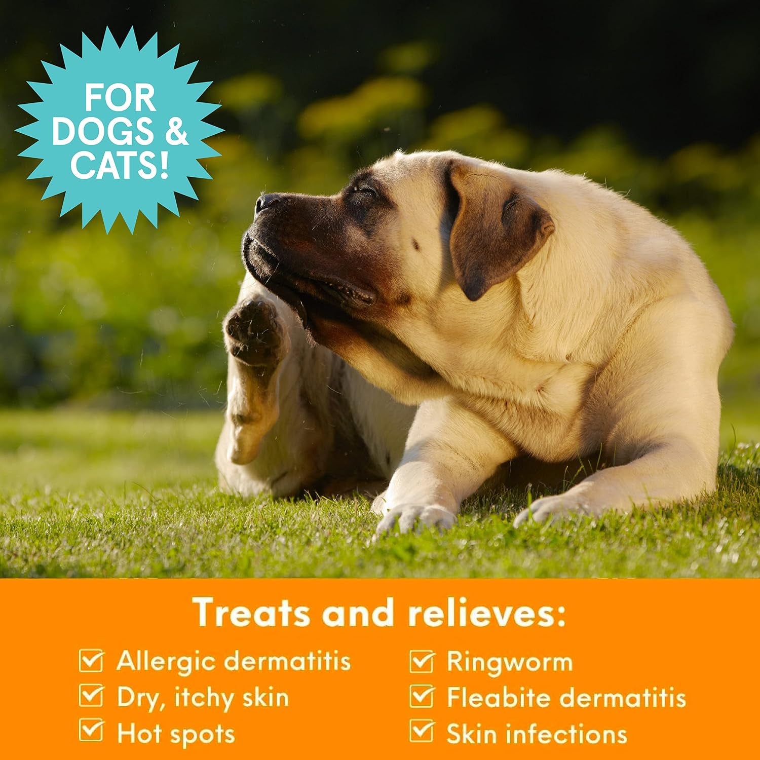nootie-medicated-pet-shampoo-chlorhexidine-dog-shampoo-for-itch-relief-sold-in-over-5-000-vet-clinics-pet-stores-worldwide-16oz