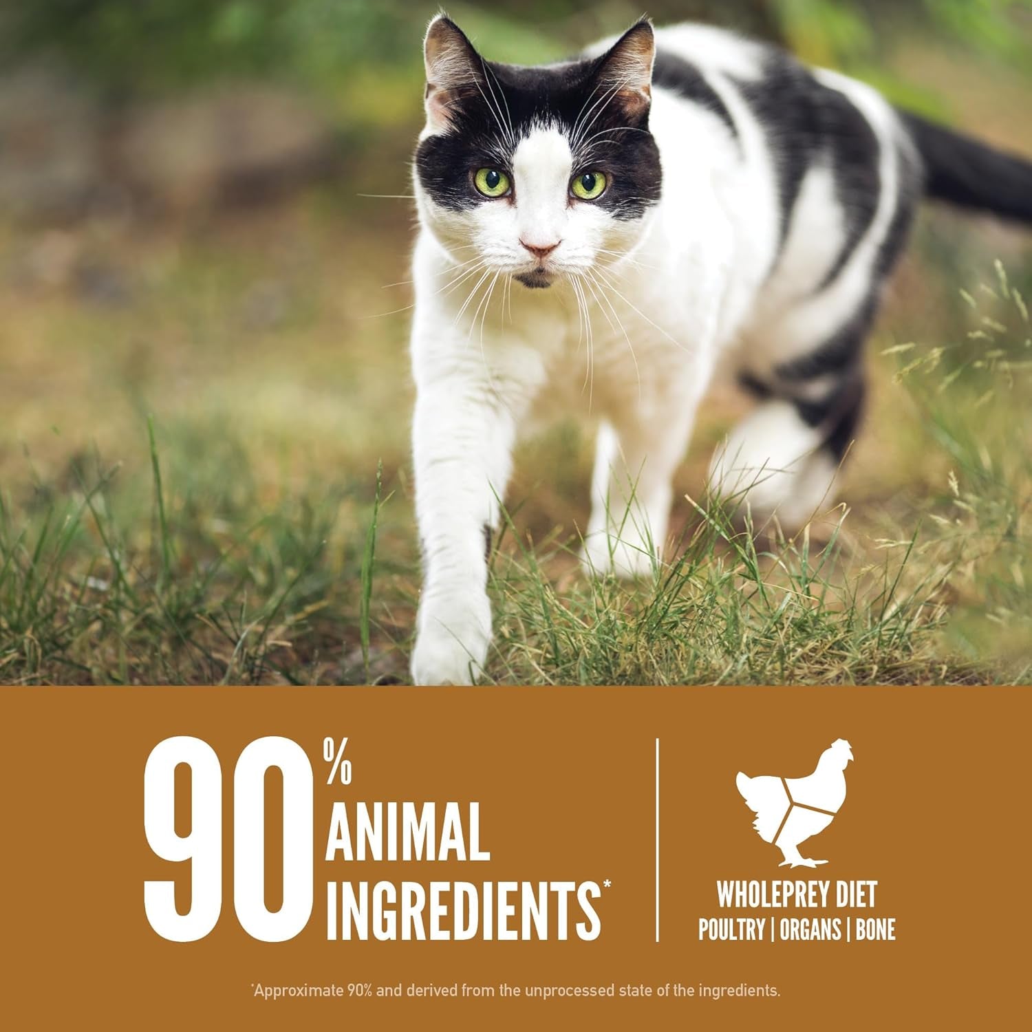 orijen-grain-free-wholeprey-dry-cat-food-original-recipe-4lb-bag-90-animal-ingredients-freeze-dried-fresh-or-raw-ingredients-high-protein-heart-health-free-run-poultry