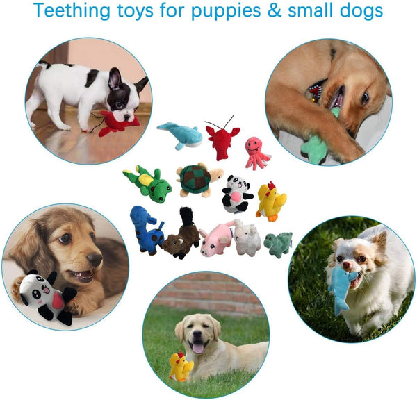 LEGEND SANDY Squeaky Plush Dog Toy Pack for Puppy, Small Puppy Chew Toys | 12 Pcs Puppy Toys, Dog Toys Bulk with Squeakers, Cute Soft Pet Toy for Small Medium Size Dogs, Gift Fot Pet5