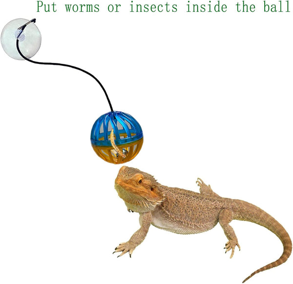 6 Pack Bearded Dragon Toys Accessories,Bearded Dragon Toy Balls Bell,Fit for Lizard Small Reptile Habitat Terrarium Tank2