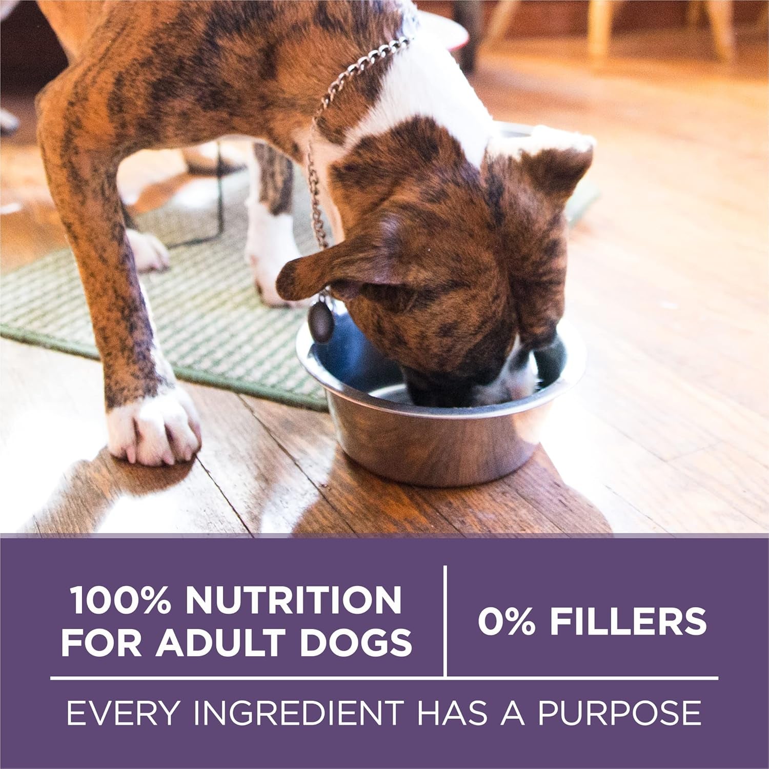 purina-one-high-protein-dry-senior-dog-food-plus-vibrant-maturity-adult-7-plus-formula-8-lb-bag