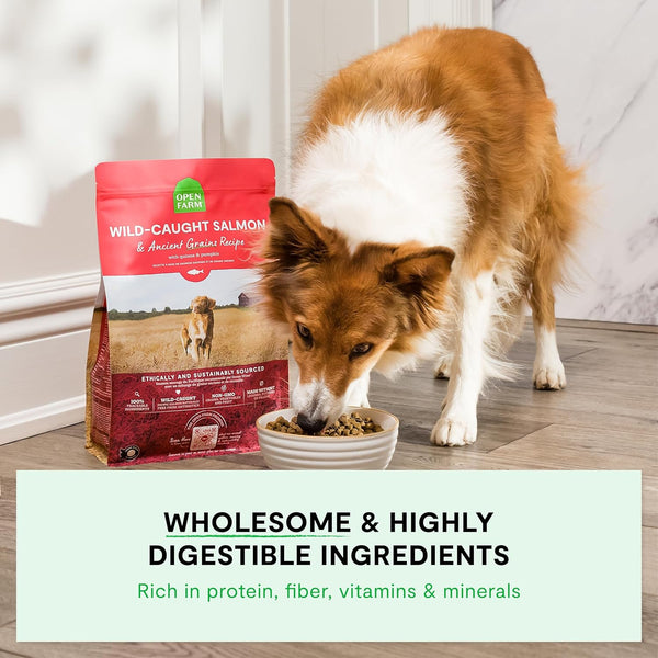 Open Farm Ancient Grains Dry Dog Food, Wild Caught Salmon Kibble, 22Lb Bag | All Life Stages, All Breed Sizes, Protein-Rich & Nutrient Dense, 100% Traceable Ingredients, Non-Gmo Fruits & Veggies.3