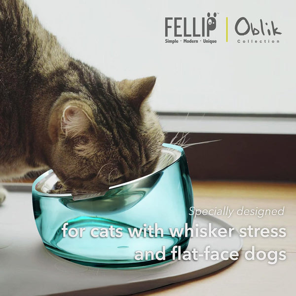 Felli Oblik Elevated Cat Bowl Removable Stainless Steel Wide Dish for Dry Wet Food Feeding & Dishwasher Clean, Slanted Whisker Fatigue Friendly Metal Plate (Classic, 0.5 Cups Shallow Dish)3
