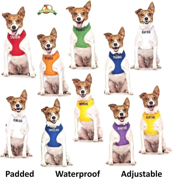 ADOPT ME Yellow Color Coded L-XL Non-Pull Dog Harness (New Home Needed) Donate to Your Local Charity8