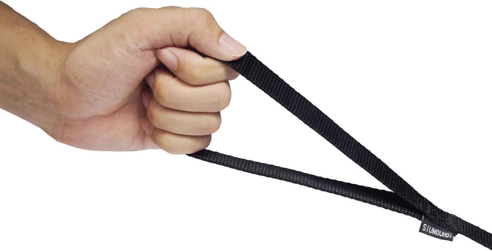 strong-durable-nylon-10ft-long-dog-training-leash-traction-rope-1-inch-wide-for-small-and-medium-dog-black-10-feet