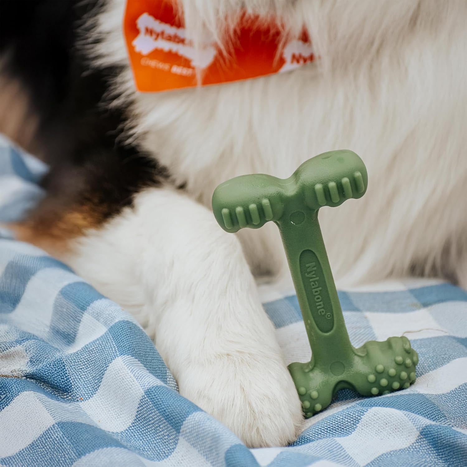 nylabone-power-chew-easy-hold-bone-dog-chew-toy-bacon-flavor-large-teeth-cleaning-textures-easy-to-hold-durable-dog-toy-for-aggressive-chewers-up-to-50-lbs-discourages-destructive-chewing