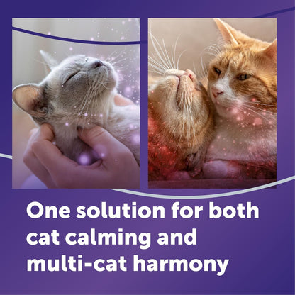 FELIWAY Optimum Cat Calming Diffuser Kit and 1 Pack Refill – Advanced Support to Help Reduce Urine Spraying, Scratching, Fighting and Hiding Due to Stress – All in One Cat Pheromone Plug in Diffuser2
