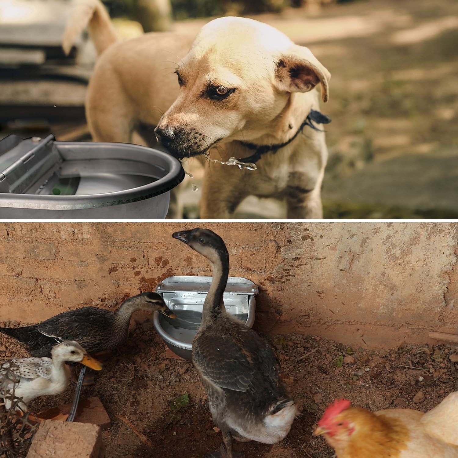 automatic-dog-water-dispenser-large-size-dog-water-bowl-trough-stainless-steel-outdoor-pet-waterer-feeder-for-poultry-goat-small-livestock