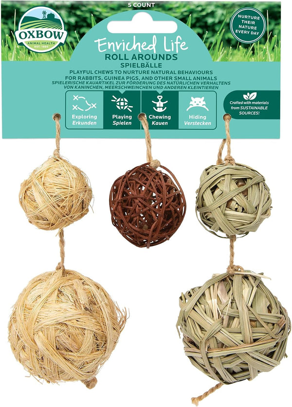 Oxbow Birthday Party Pack, Rabbit & Guinea Pig Toys, Bunny Enrichment Toys | Rabbit Chew Toys, Guinea Pig Enrichment, Guinea Pig Chew Toys, Rabbit Enrichment, Natural Materials, Small Pet Accessories11
