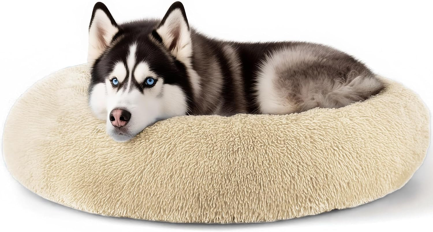 hoewina-dog-cat-bed-for-indoor-cats-20in-calming-donut-bed-for-puppy-and-kitten-washable-round-fluffy-pet-bed-for-small-medium-dogs-and-cats-light-grey