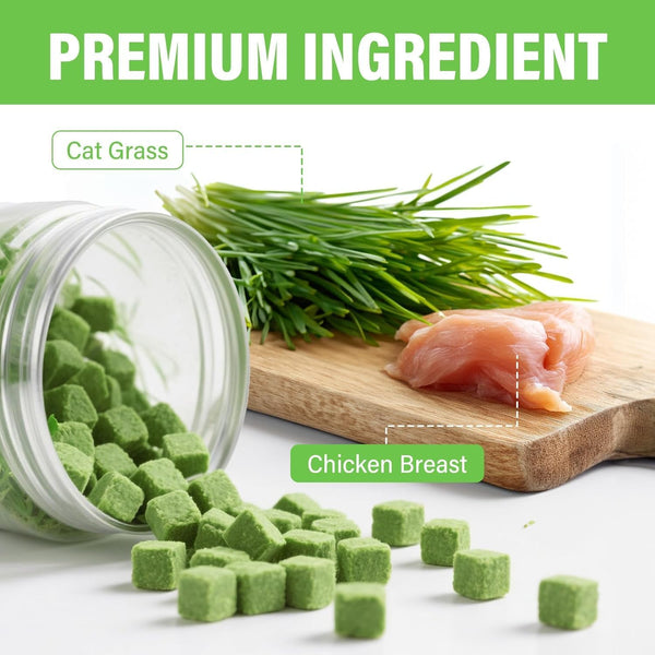 Cat Grass Treats for Indoor Cats, Crunchy Wheatgrass Snacks for Cats, 120G | Ready-To-Eat Wheatgrass Treats,Supports Natural Digestive Health & Hairball Passage,Grain-Free & Crunchy for Dental Care5