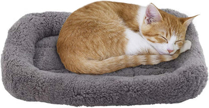 LESYPET Cat Bed for Indoor Cats, Soft Cat Cushion with Cat Pillow Around, Rectangle Kitten Pad Small Bed for Window Sill, 15'' X 10''1