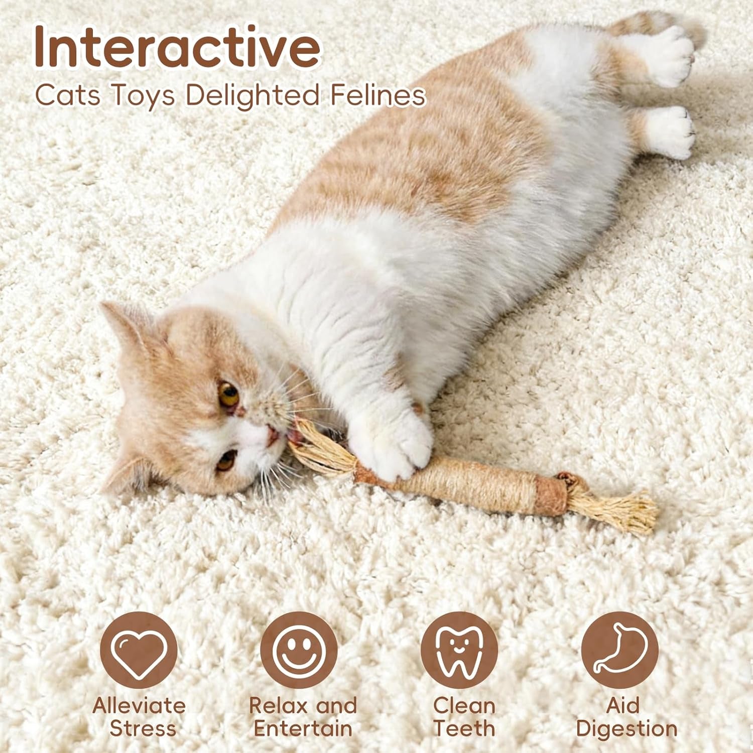 5-pack-silvervine-sticks-cat-toys-natural-chew-kitten-teething-toys-for-cleaning-matatabi-catnip-treat-toys-catmint-silver-vine-sticks-for-bored-indoor-kitty