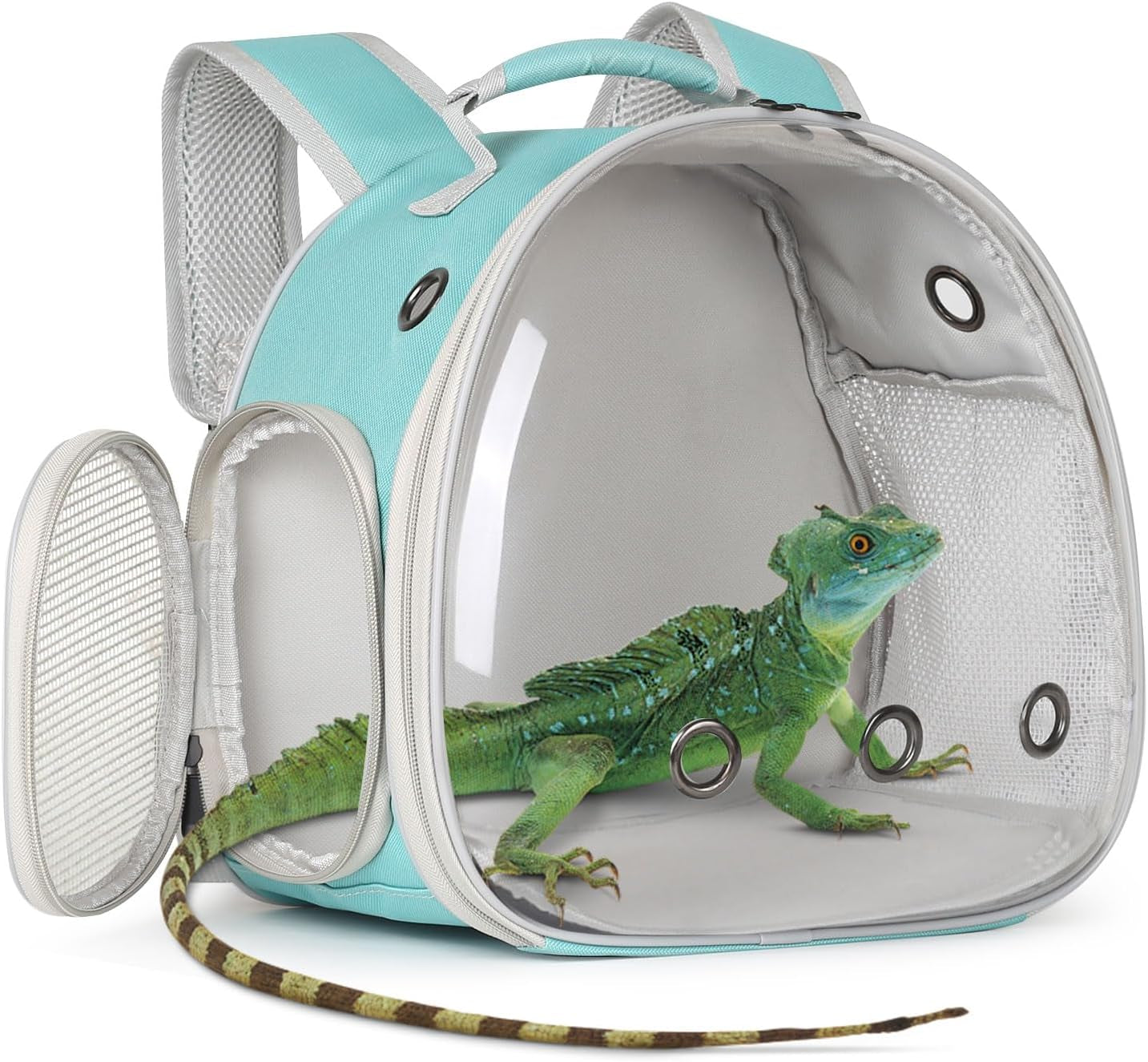 bearded-dragon-travel-carrier-lizards-carrier-small-animal-travel-carrier-for-sugar-glider-hedgehog-rat-parrot-bird-guinea-pig-portable-guinea-pig-travel-bag-for-2