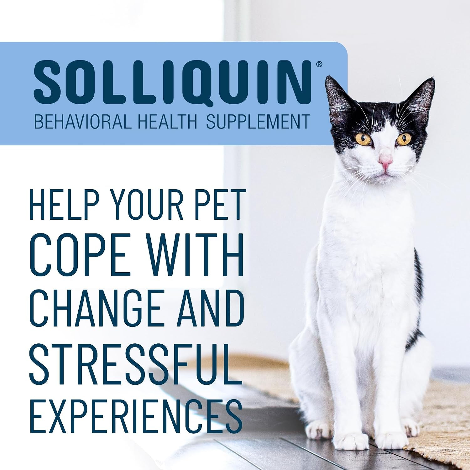 nutramax-solliquin-cat-small-dog-calming-support-soft-chews-75ct
