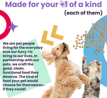 I and LOVE and YOU Treat Meow Variety Pack - 12CT11