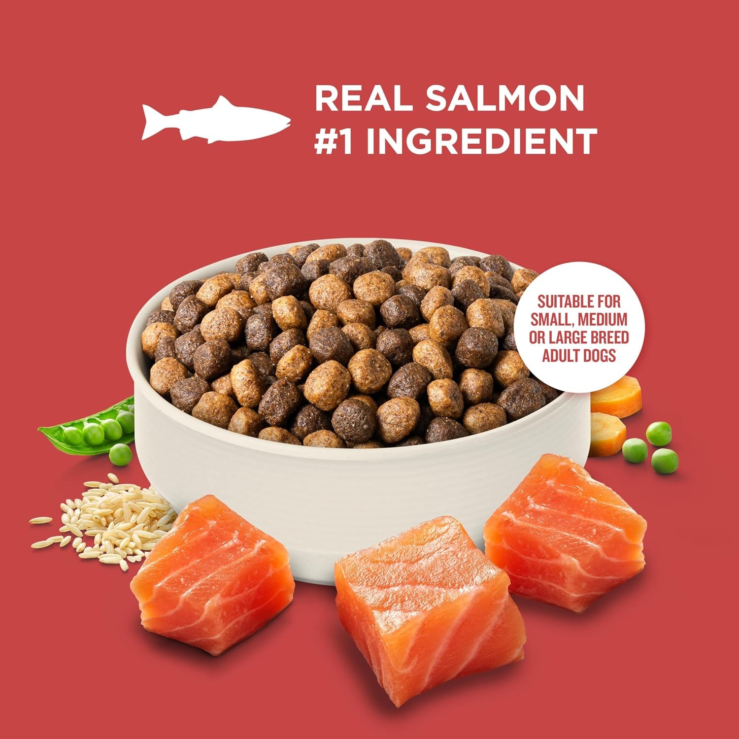 nutrish-salmon-dry-dog-food-26-lb-bag-rachael-ray-complete-balanced-nutrition-for-small-medium-and-large-breed-adult-dogs-veterinarian-reviewed-formula
