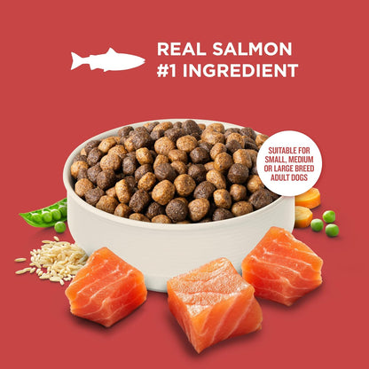Nutrish Salmon Dry Dog Food, 26 Lb. Bag (Rachael Ray) | Complete & Balanced Nutrition for Small, Medium and Large Breed Adult Dogs, Veterinarian Reviewed Formula4