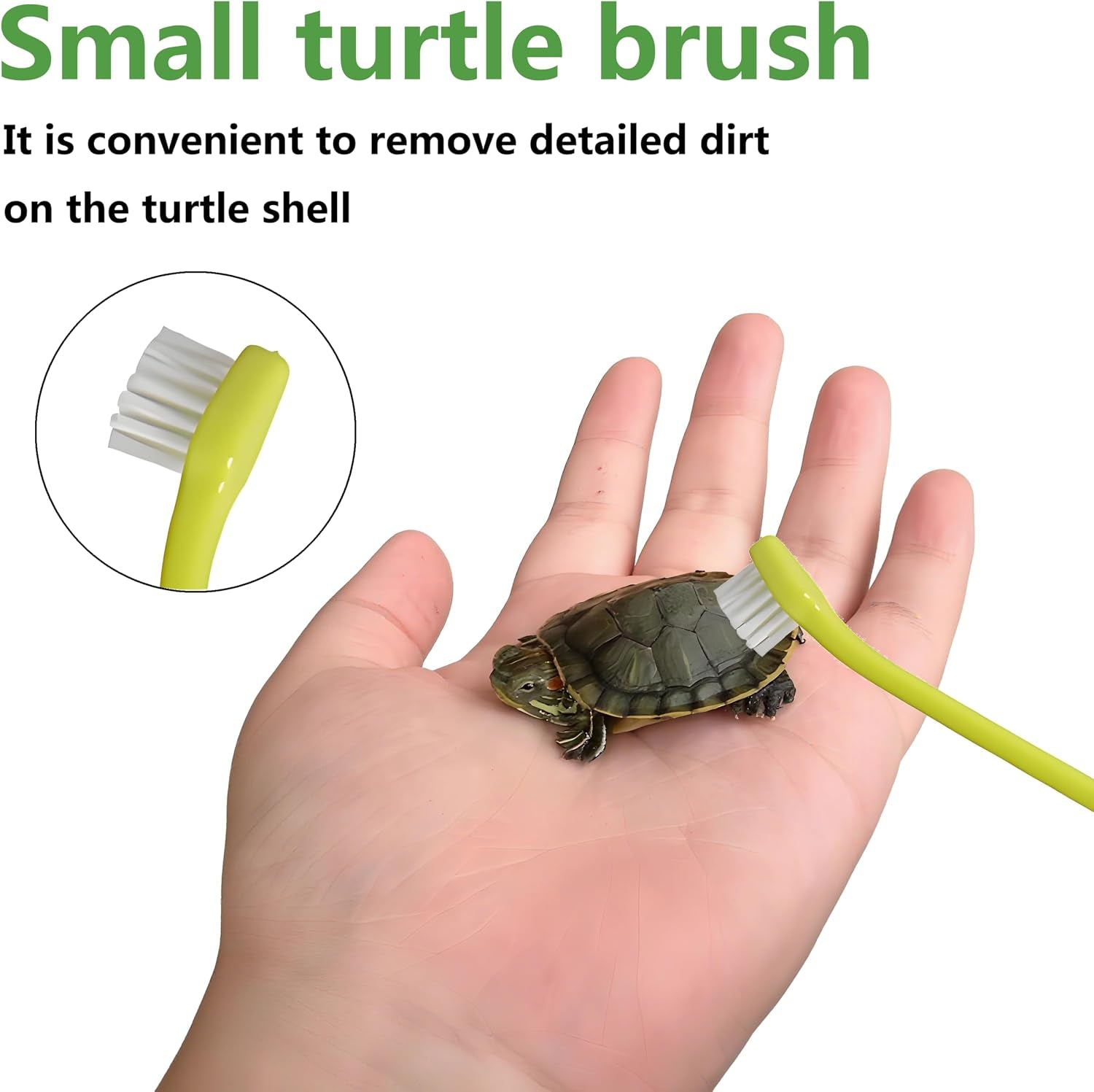 turtle-brush-with-suction-cup-tortoise-shell-cleaner-scratch-tool-for-turtle-tanks-aquatic-turtle-tank-accessories3pcs