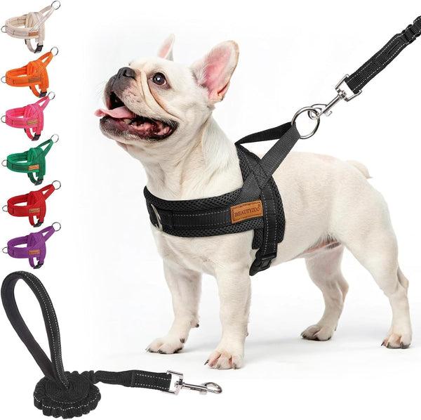 BEAUTYZOO Dog Harness No Pull, Quick Fit Dog Harness and Leash Set, Escape Proof Vest Harness with Soft Handle, Reflective Breathable Mesh Padding Harness for Medium Size Dog Training Walking, Beige M38