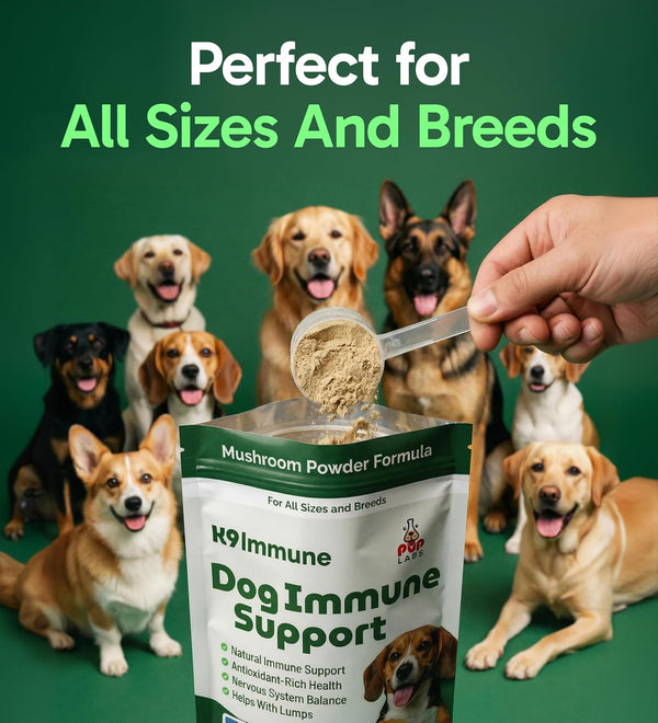 K9 Immune, All-Natural Mushroom Powder for Dogs for Immunity, Digestion, Joints, & Energy, Antioxidant-Rich & Usa-Made, Dog Immune Support with Turkey Tail Mushroom for Dogs, 30 Servings7