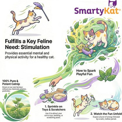 Smartykat Natural Catnip Canister, 100% Natural Cat Nip for Cats, Premium Dried Catnip for Indoor Cats, Positive Training Aid for Play and Exercise, Resealable Shaker Bottle, 2 Ounces2