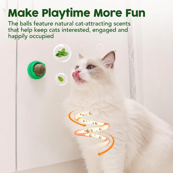 Potaroma Catnip Toys Balls 4 Pcs with Extra Cat Energy Ball | Edible Kitten Catnip Silvervine Toys for Cats Lick, Healthy Kitty Teeth Cleaning Dental Chew Toys, Cat Wall Treats (Green)4