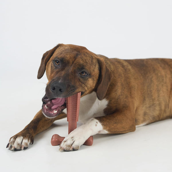 SPOT Bam-Bones plus T Bone – Bamboo Fiber & Nylon Dog Chew Toy for Moderate to Aggressive Chewers, Durable Long Lasting & Non-Splintering, Beef Flavor Toy for Adult Dogs & Puppies under 60 Lbs, 6 In14