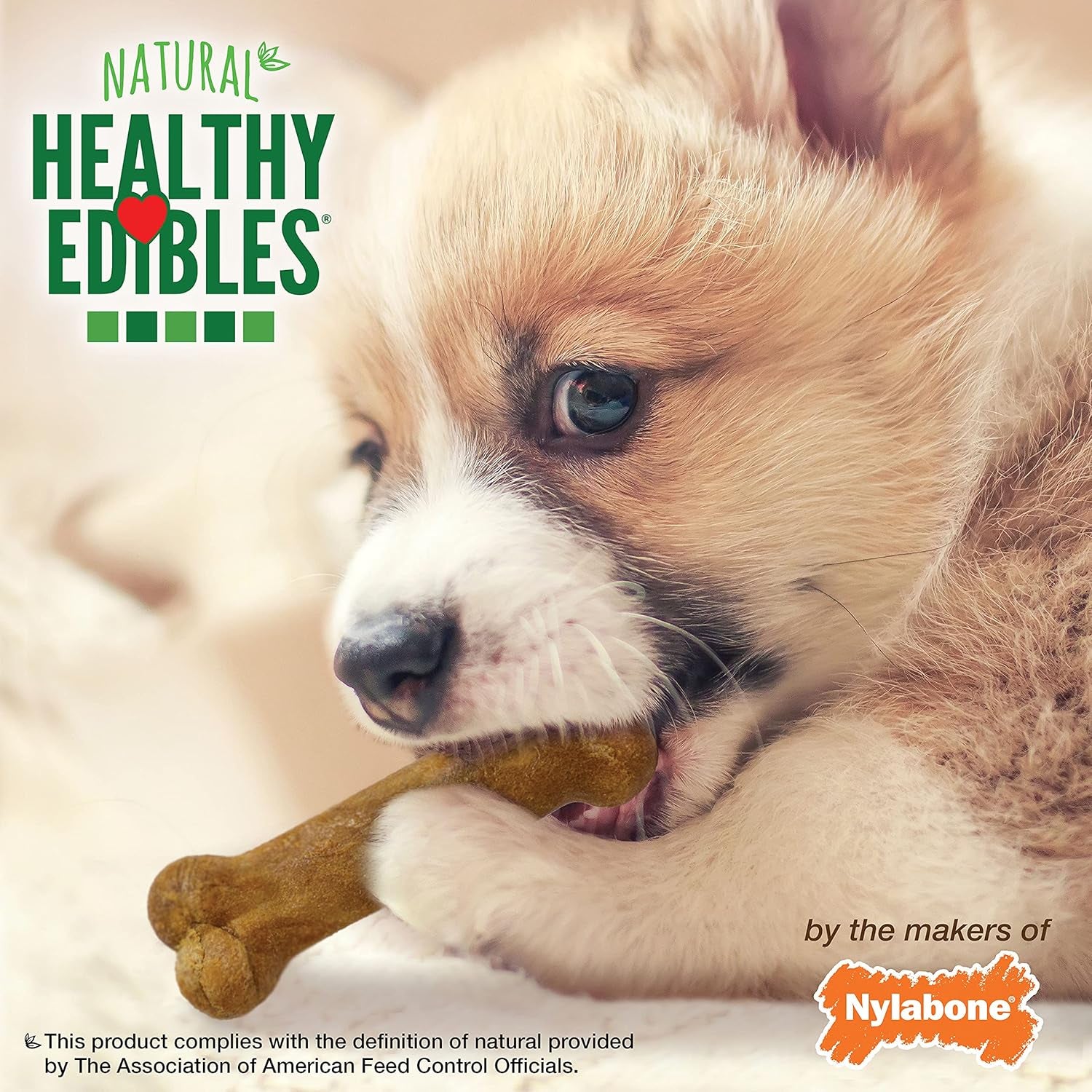 nylabone-healthy-edibles-natural-puppy-chews-long-lasting-treats-for-puppies-roast-beef-apple-bacon-dog-treats-x-small-petite-3-count