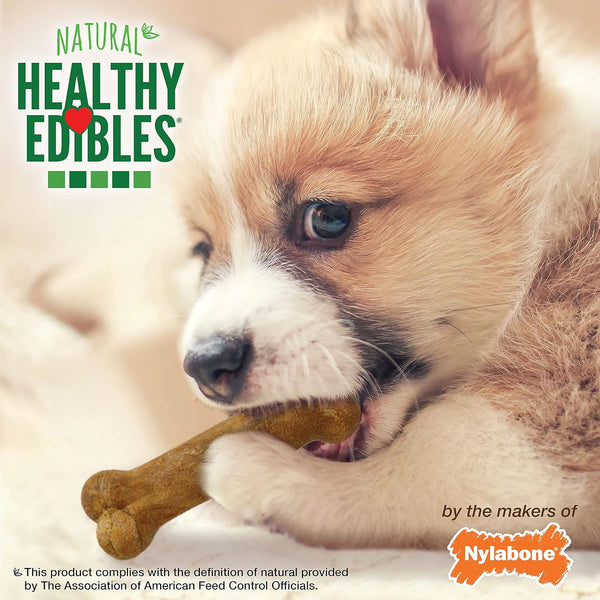 Nylabone Healthy Edibles Natural Puppy Chews Long Lasting Treats for Puppies, Roast Beef/Apple/Bacon Dog Treats, X-Small/Petite (3 Count)9