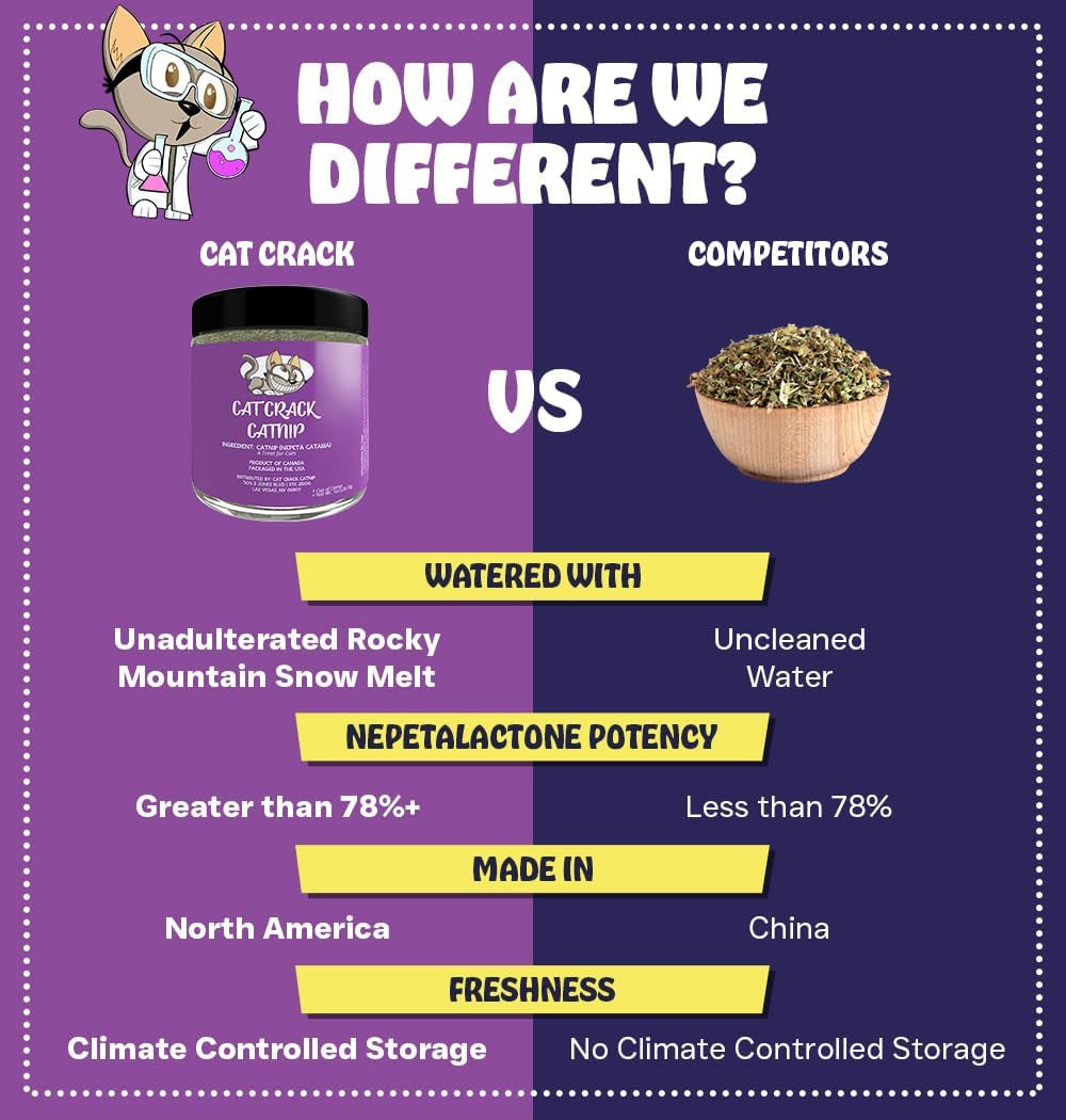 cat-crack-catnip-zoomie-inducing-cat-nip-100-natural-north-american-made-100-natural-safe-non-addictive-catnip-treats-used-to-supplement-cat-nip-toys-spray-accessories-1-cup
