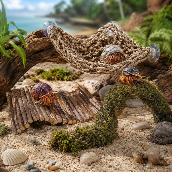HERCCOCCI Hermit Crab Accessories, Hermit Crab Toys Flexible Climbing Bridge Reptile Hammock Habitat Decor for Hermit Crabs Leopard Geckos Crested Tortoise Snake3