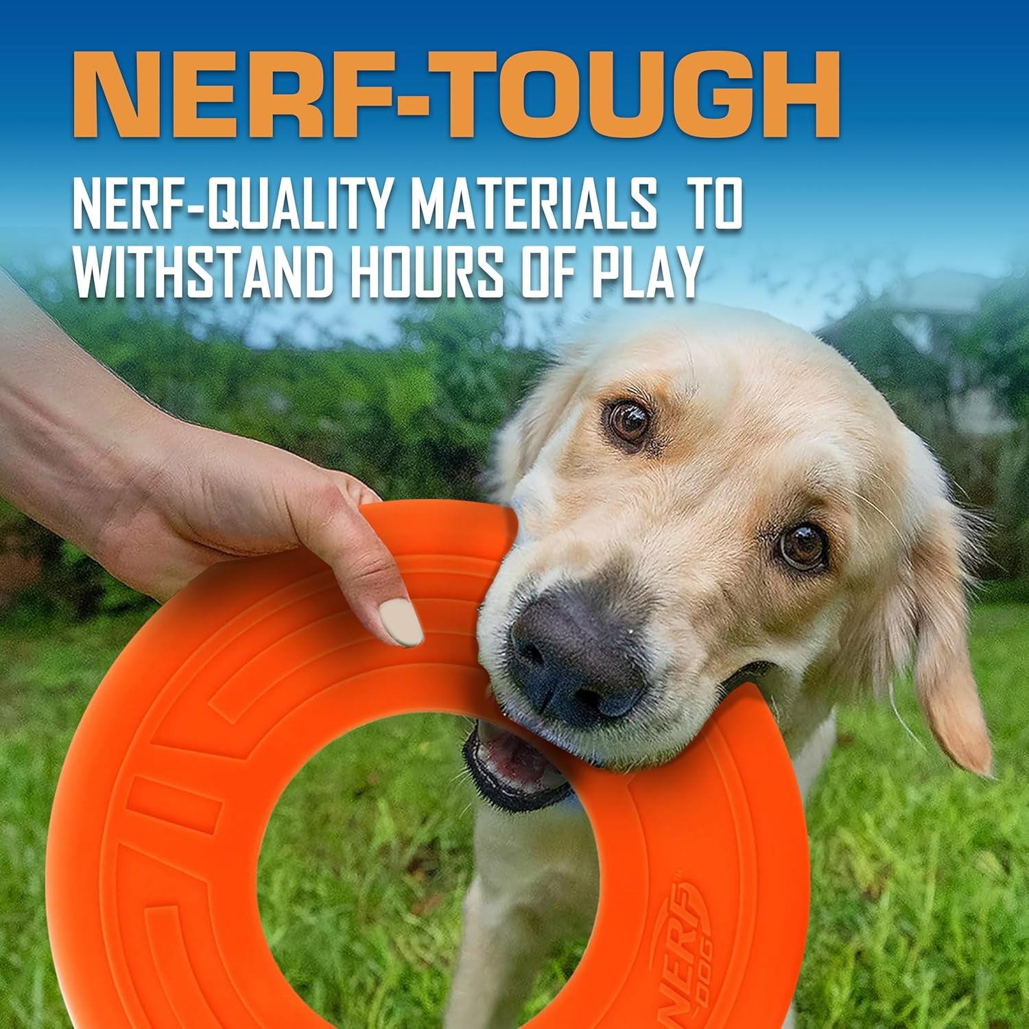 nerf-dog-atomic-flyer-outdoor-dog-toy-10-inch-flying-disc-dog-fetch-toy-rubber-dog-toy-for-medium-dogs-and-large-dogs-orange