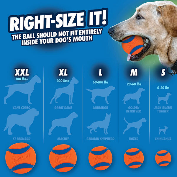 Chuckit! Ultra Ball Dog Toy, Balls for Dogs to Fetch, Durable Rubber, Small 2-Inch, Pack of 27