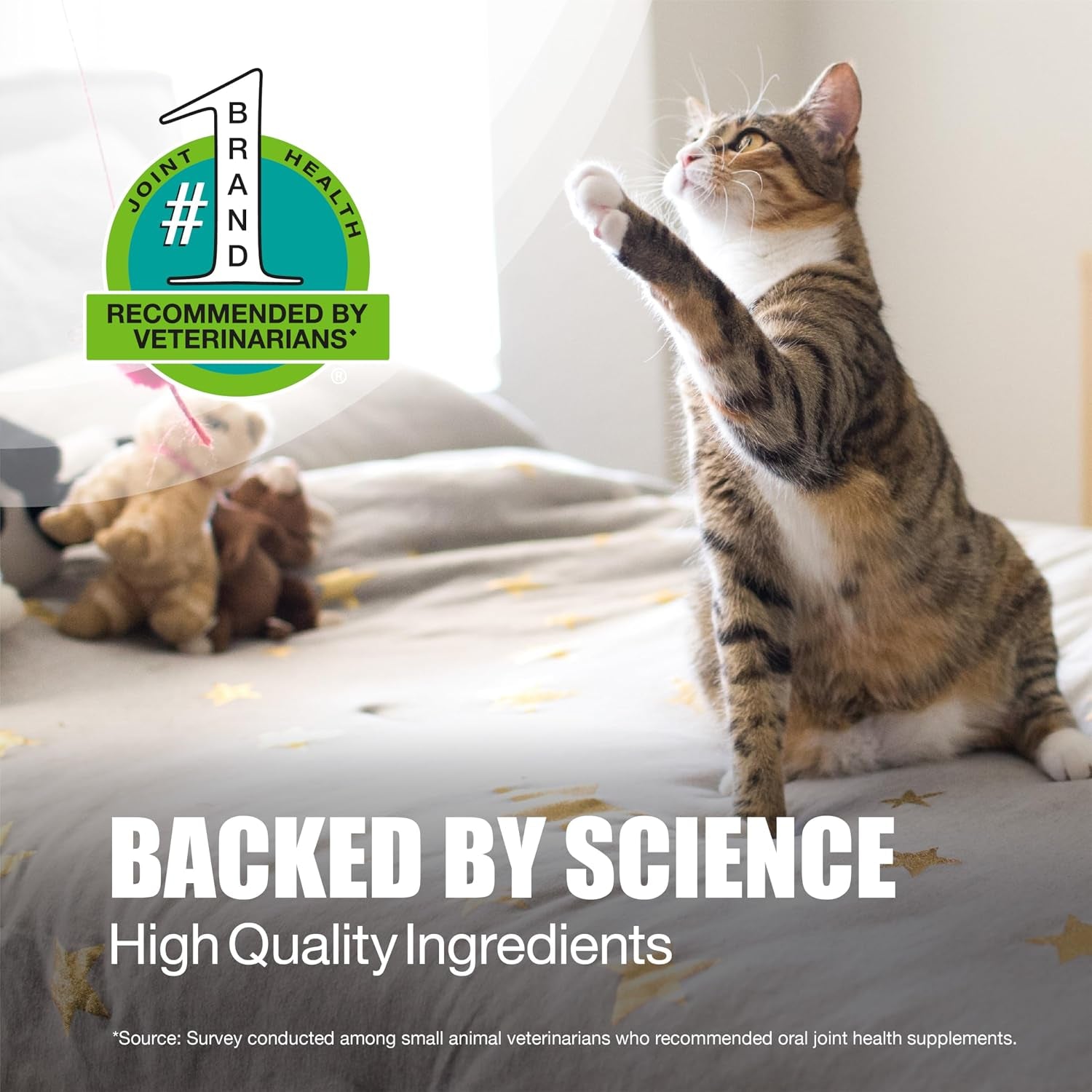 nutramax-laboratories-dasuquin-joint-health-supplement-for-cats-with-glucosamine-chondroitin-asu-boswellia-serrata-extract-and-green-tea-extract-84-capsules-cat-joint-support-glucosamine-chondroitin-asu-boswellia-serrata-extract-green-tea-extract-all-ages-sizes