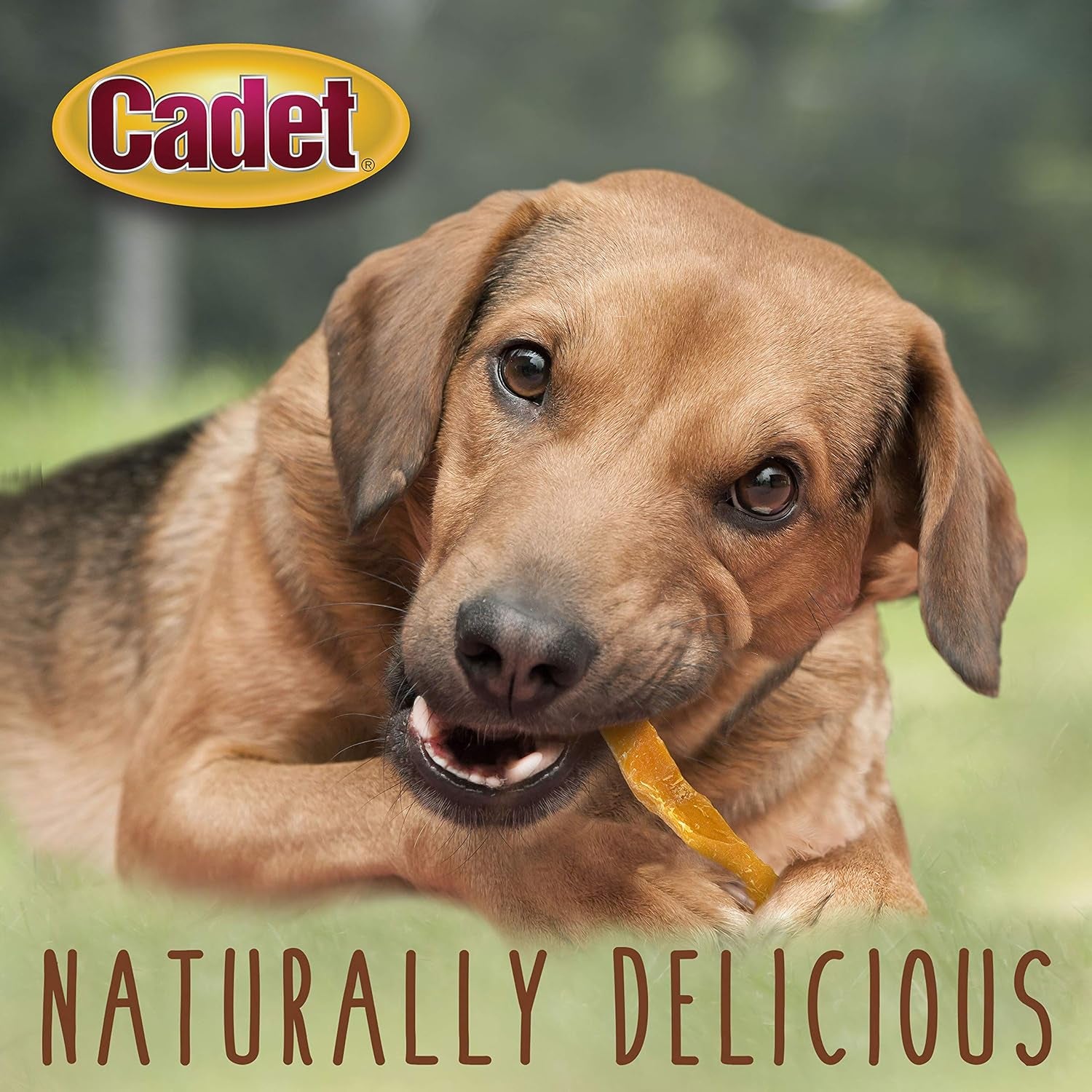cadet-gourmet-sweet-potato-steak-fries-dog-treats-1-lb-100-real-sweet-potato-healthy-natural-chewy-dog-treats-single-ingredient-dog-training-treats-for-small-large-dogs