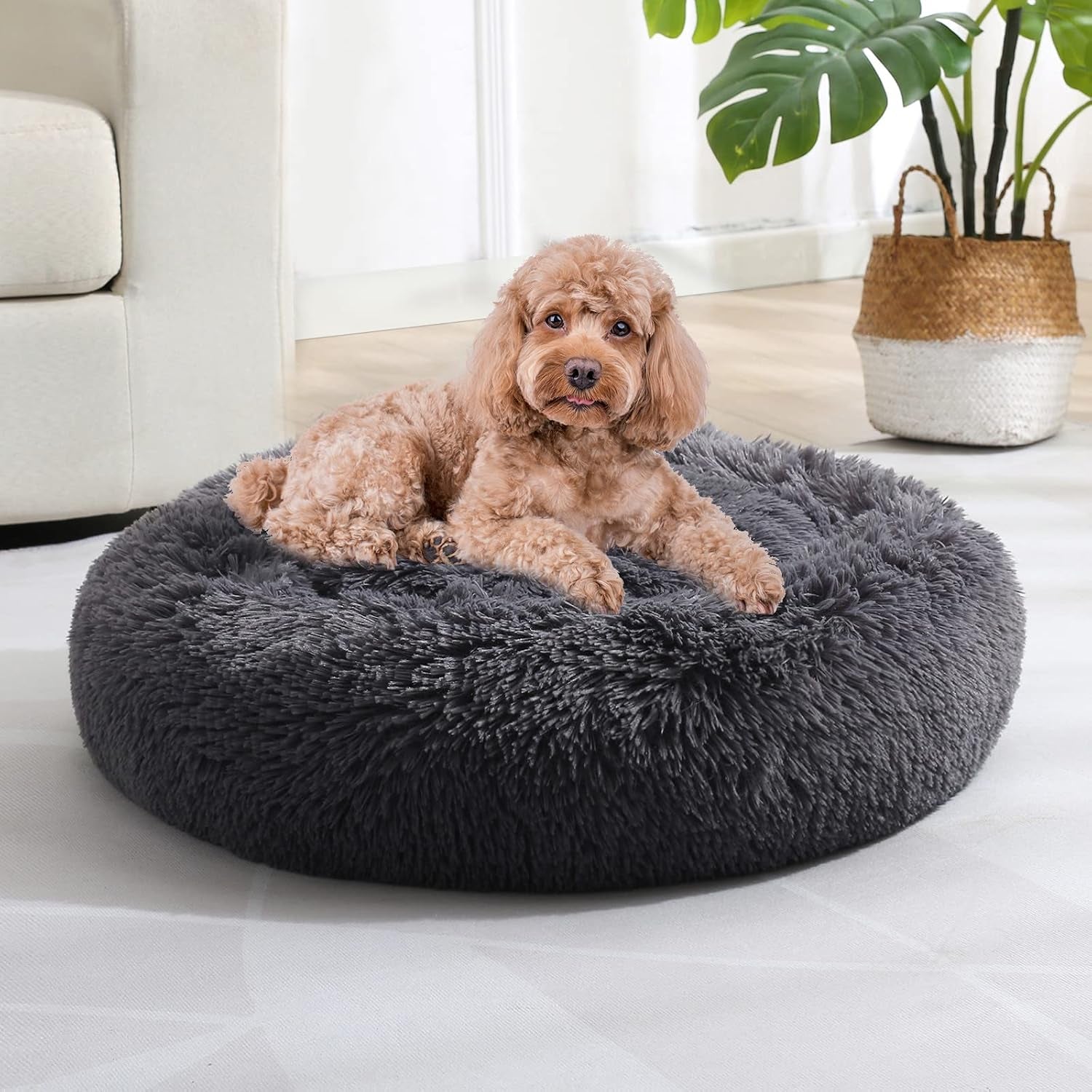 jollyvogue-small-dog-bed-calming-soft-anti-anxiety-donut-cat-bed-washable-round-fluffy-cushion-for-small-and-medium-pets-20