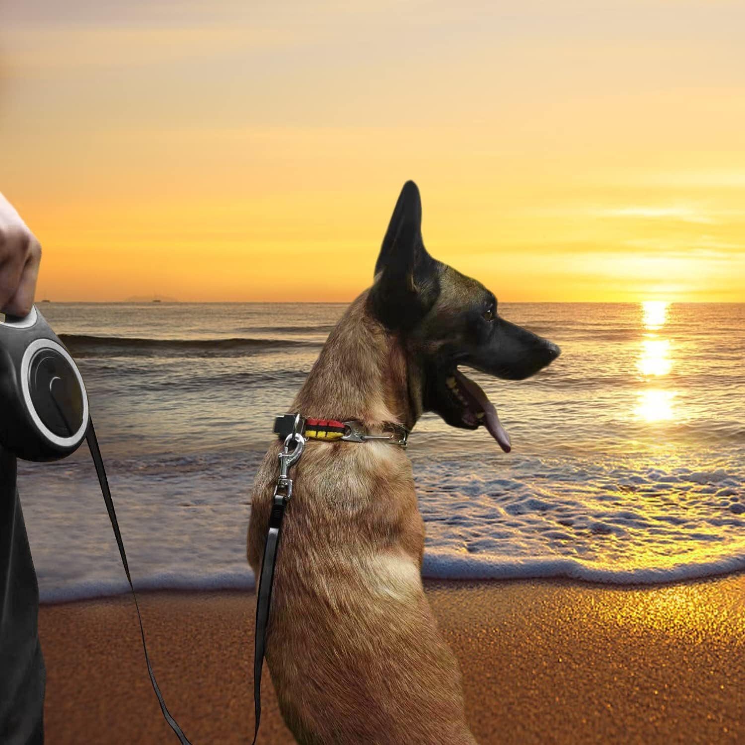 26ft-retractable-dog-leash-heavy-duty-great-leash-for-dog-up-to-110-lbs-anti-slip-rubberized-handle-one-handed-brake-strong-nylon-tape-tangle-freelarge-size